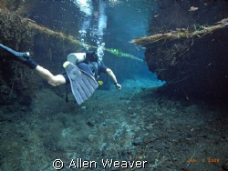warm freshwater diving in the Media Luna.  S.L.P. Mexico. by Allen Weaver 